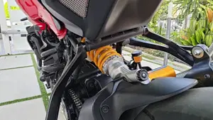 Ducati Monster 1200 R (2016 - 19)  (17)