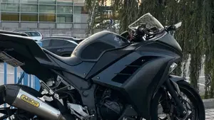 Kawasaki Ninja 300 ABS (2012 - 16)  (2)