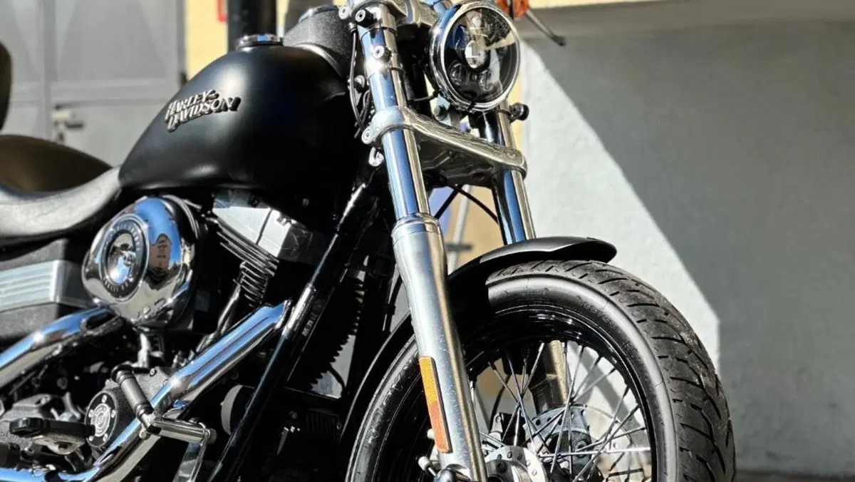 Harley-Davidson 1584 Street Bob (2008 - 15) - FXDB  (2)