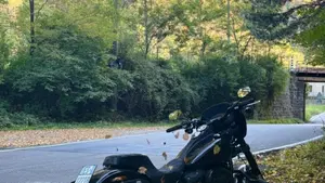 Harley-Davidson 1800 Low Rider S (2016 - 17) - FXDLS  (10)