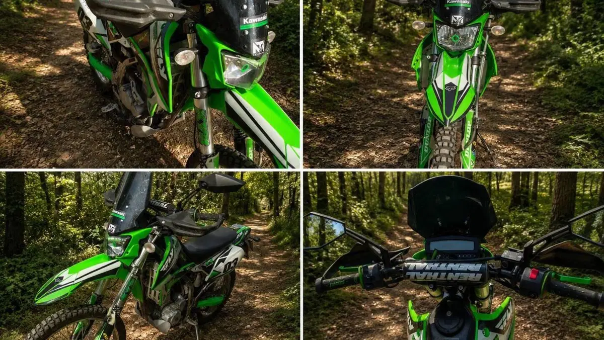 Kawasaki KLX 250 (2009 - 16)  (8)