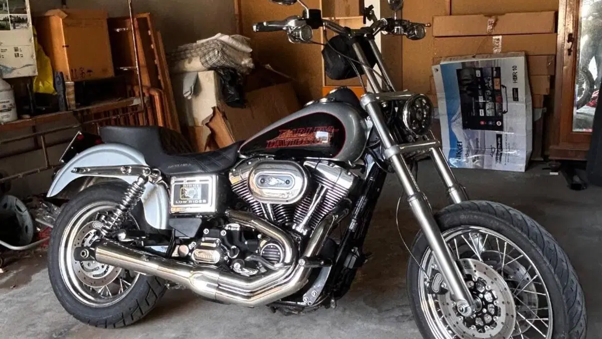 Harley-Davidson 1690 Low Rider (2014 - 17) - FXDL  (8)