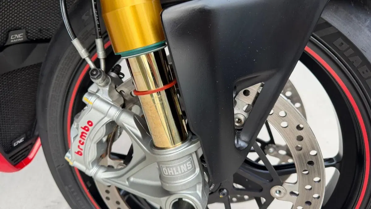 Ducati Panigale V4 S 1100 (2018 - 19)  (5)