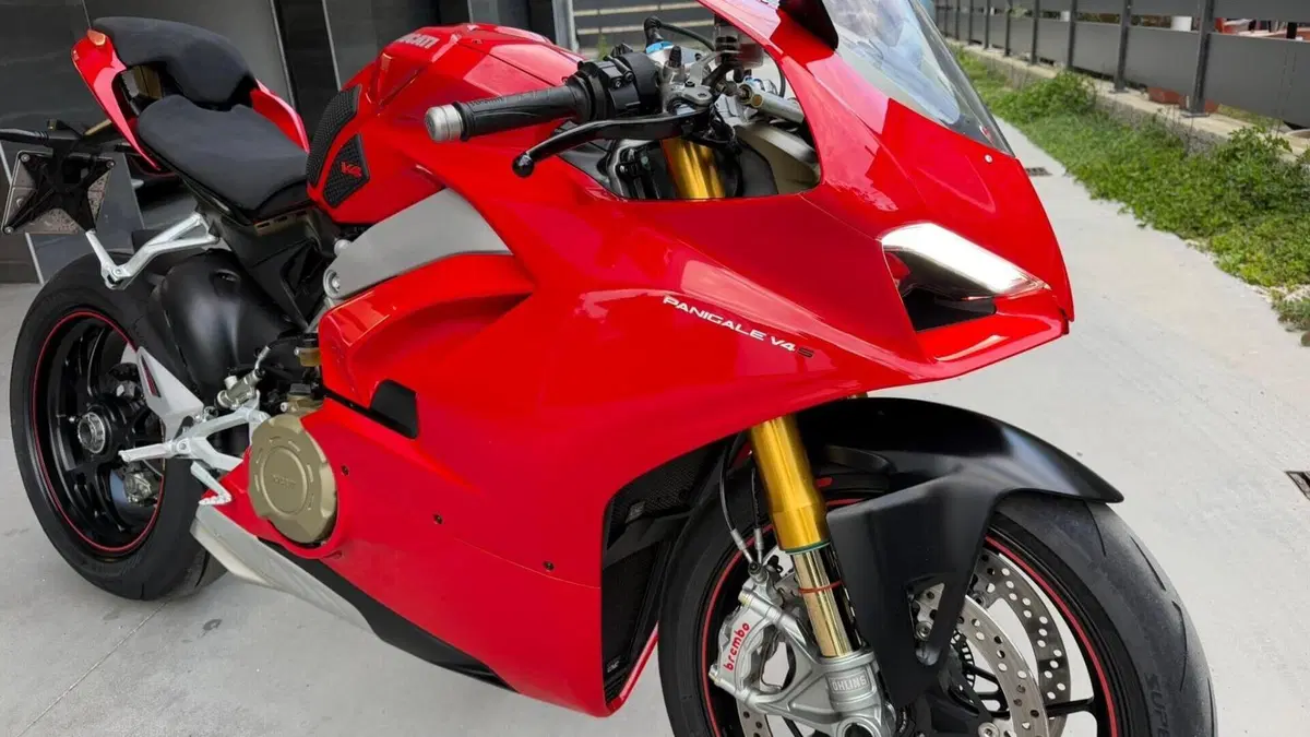 Ducati Panigale V4 S 1100 (2018 - 19)  (7)