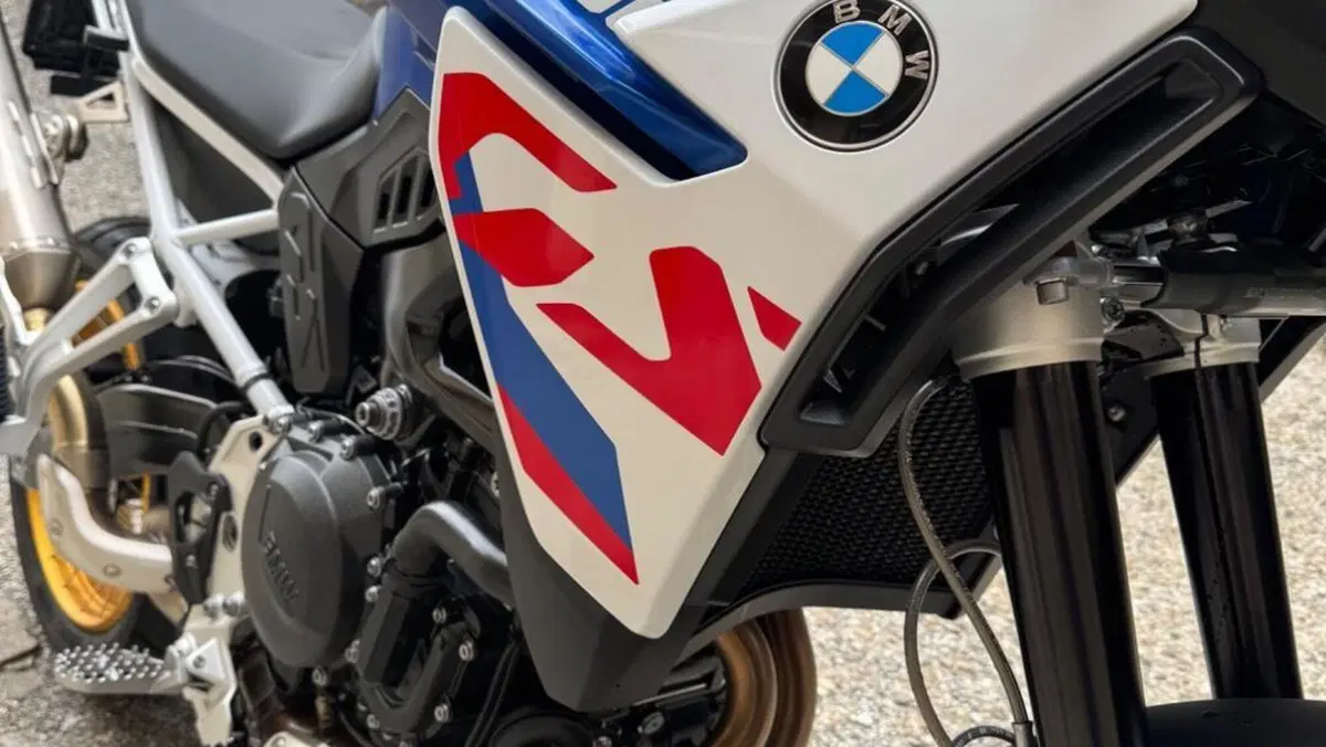 Bmw F 900 GS (2024 - 26)  (7)