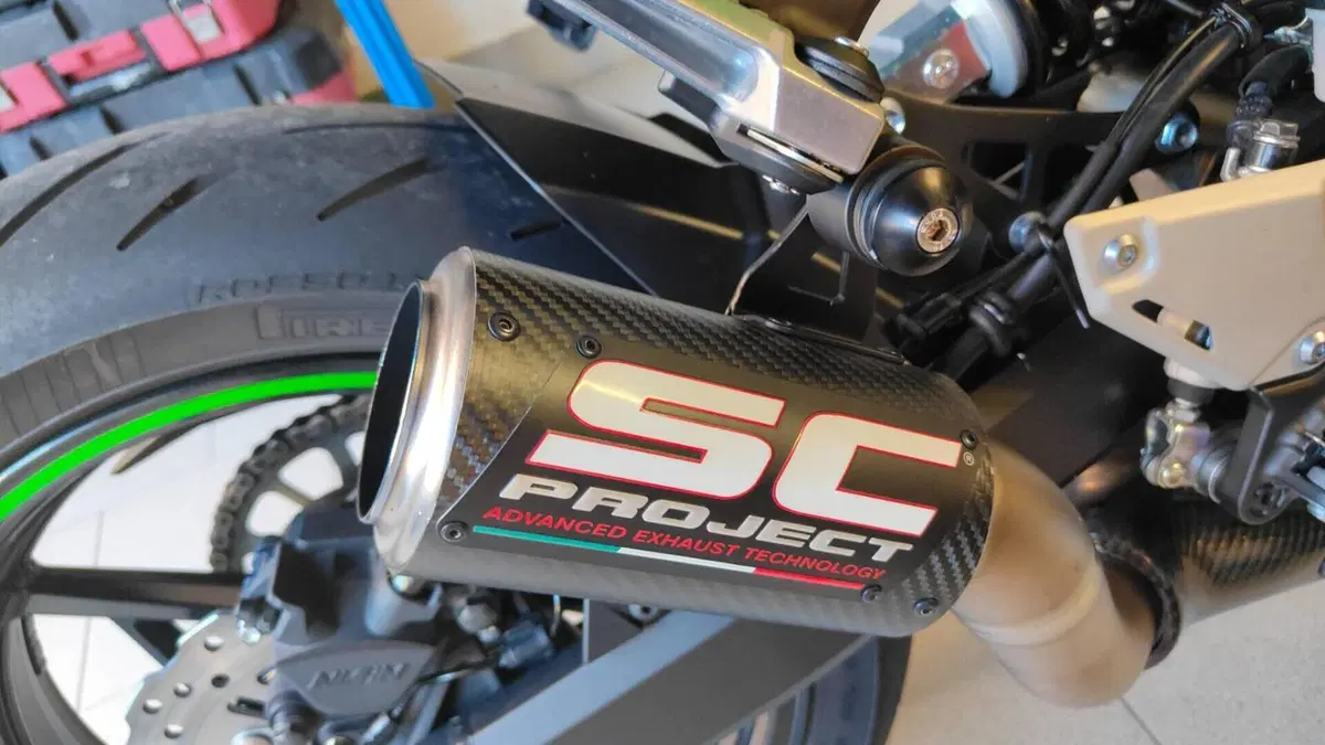 Kawasaki Z 900 (2021 - 24)  (4)