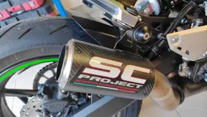 Kawasaki Z 900 (2021 - 24)  (4)