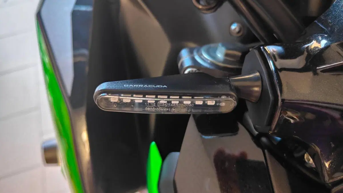 Kawasaki Z 900 (2021 - 24)  (6)