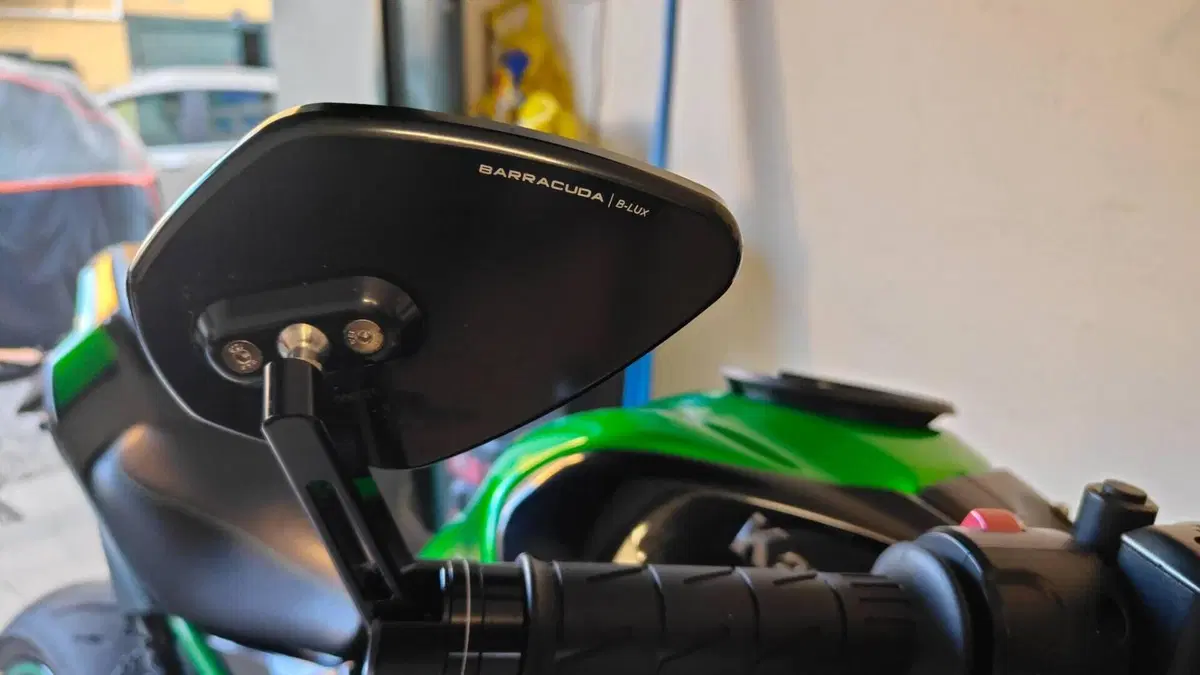 Kawasaki Z 900 (2021 - 24)  (7)