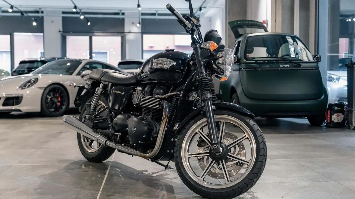 Triumph Bonneville T100 (2008 - 16)  (5)