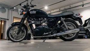 Triumph Bonneville T100 (2008 - 16)  (11)