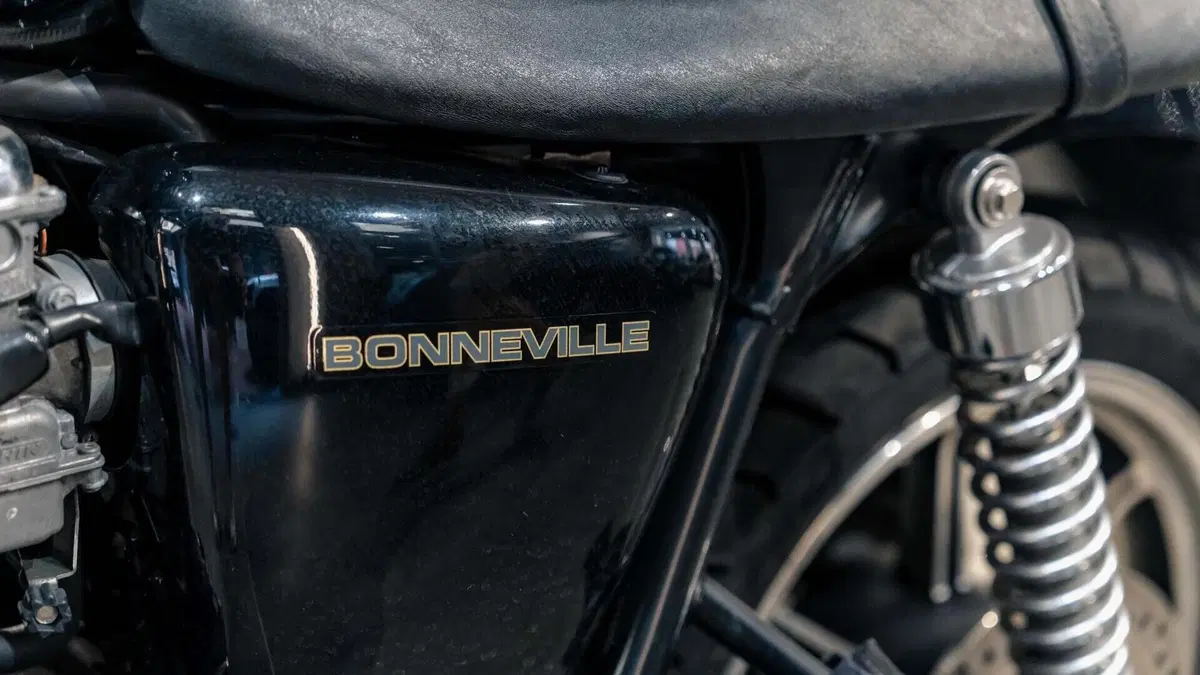 Triumph Bonneville T100 (2008 - 16)  (13)