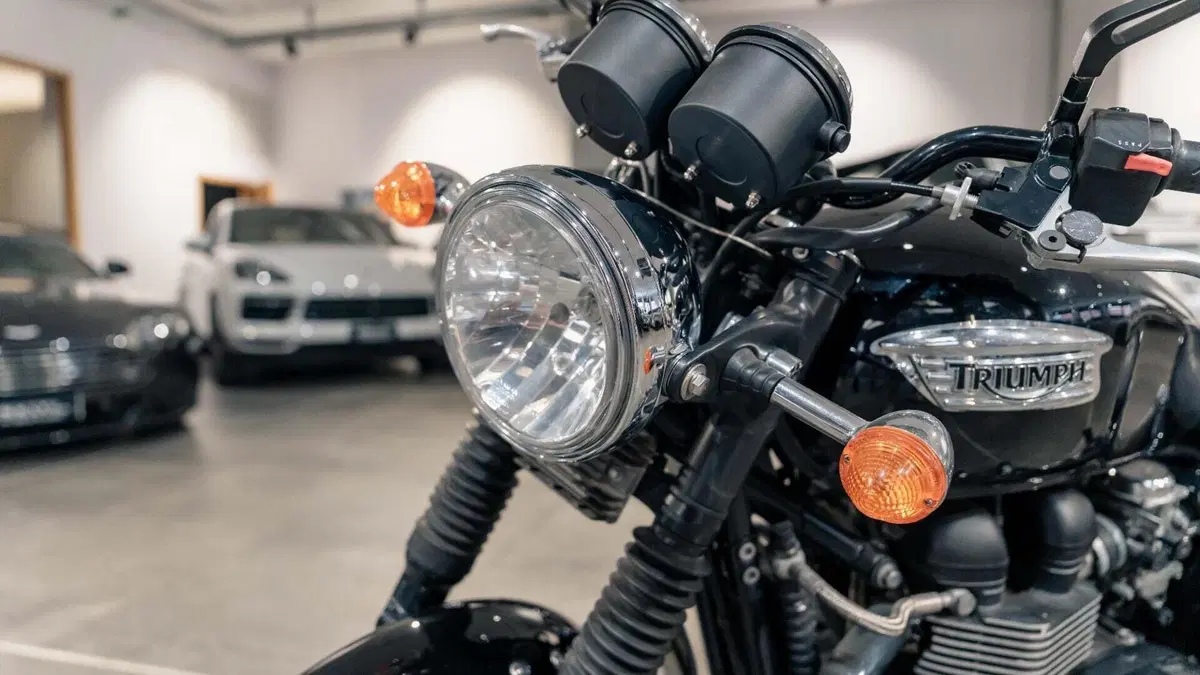 Triumph Bonneville T100 (2008 - 16)  (3)