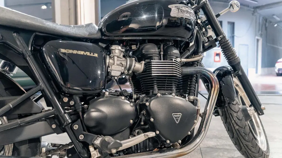 Triumph Bonneville T100 (2008 - 16)  (7)