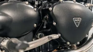 Triumph Bonneville T100 (2008 - 16)  (20)