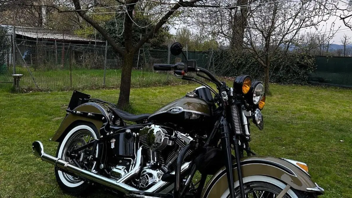 Harley-Davidson 1584 Springer Classic (2006 - 07) - FLSTSC 