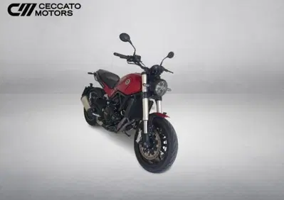 Benelli Leoncino 500 (2021 - 25) - Annuncio 10096789
