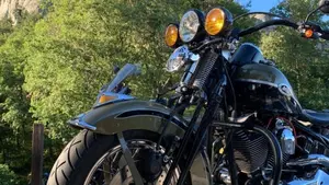 Harley-Davidson 1584 Springer Classic (2006 - 07) - FLSTSC  (8)