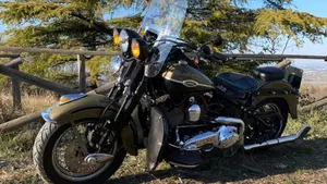 Harley-Davidson 1584 Springer Classic (2006 - 07) - FLSTSC  (10)