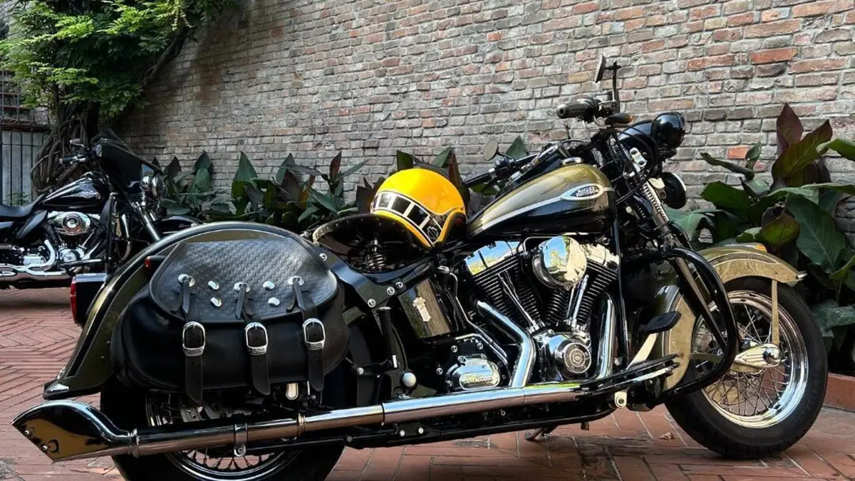 Harley-Davidson 1584 Springer Classic (2006 - 07) - FLSTSC  (13)