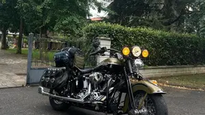 Harley-Davidson 1584 Springer Classic (2006 - 07) - FLSTSC  (15)