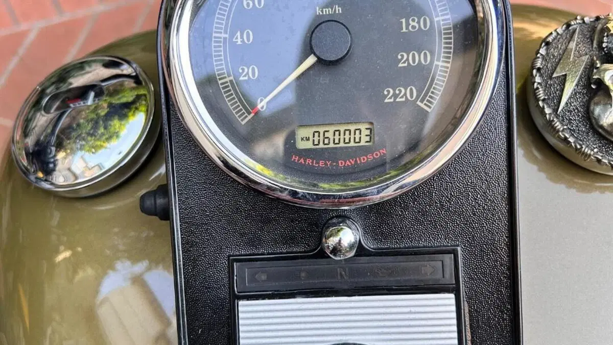 Harley-Davidson 1584 Springer Classic (2006 - 07) - FLSTSC  (17)