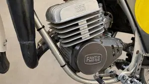 Fantic Motor   (9)
