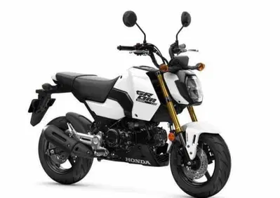 Honda MSX 125 Grom (2021 - 26) - Annuncio 9850798