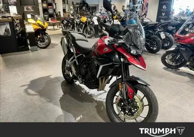 Triumph Tiger 900 GT (2024 - 26) - Annuncio 10057438