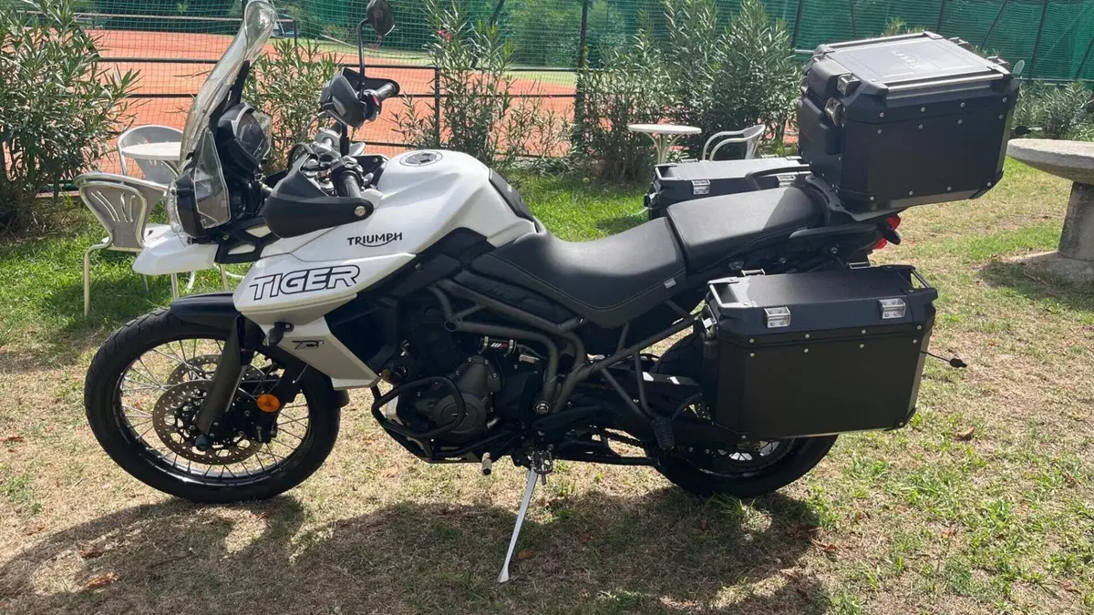 Triumph Tiger 800 XCx (2018 - 20)  (16)