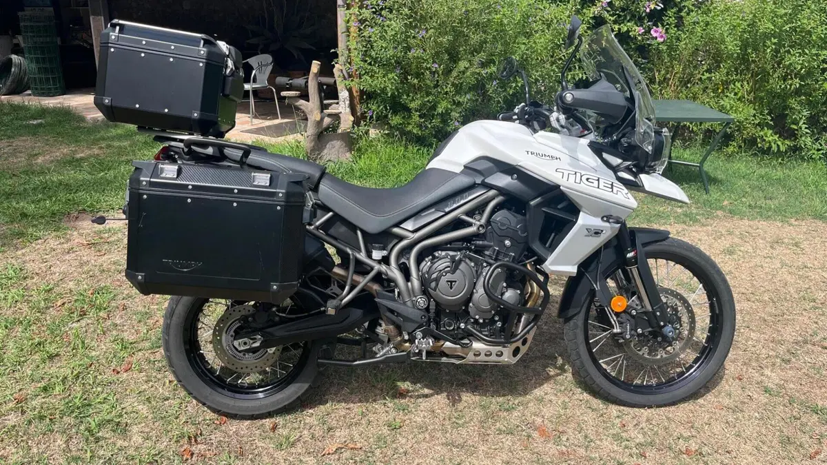 Triumph Tiger 800 XCx (2018 - 20)  (17)