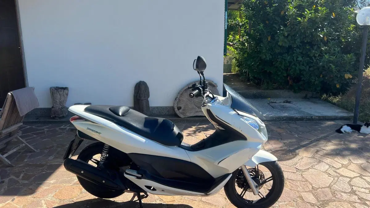 Honda PCX 125 (2014 - 16)  (2)