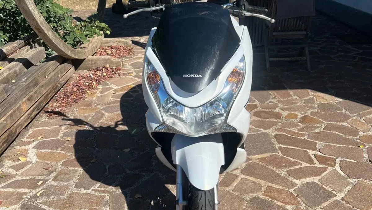 Honda PCX 125 (2014 - 16)  (3)