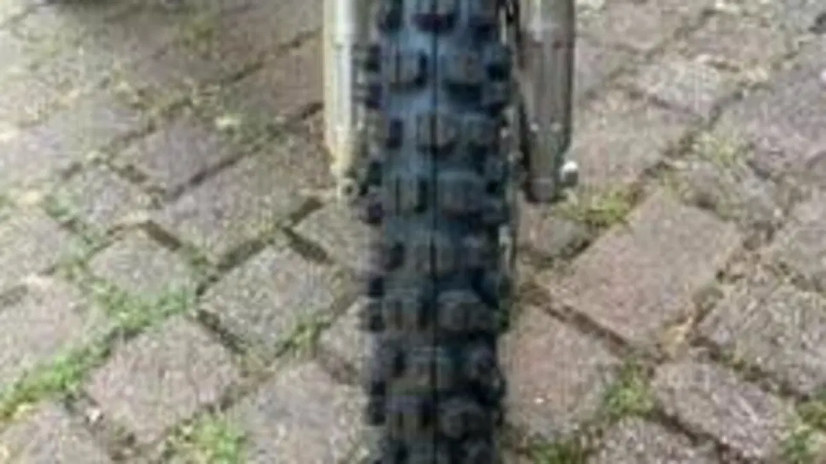 Betamotor RR 50 Enduro (2021 - 26)  (3)