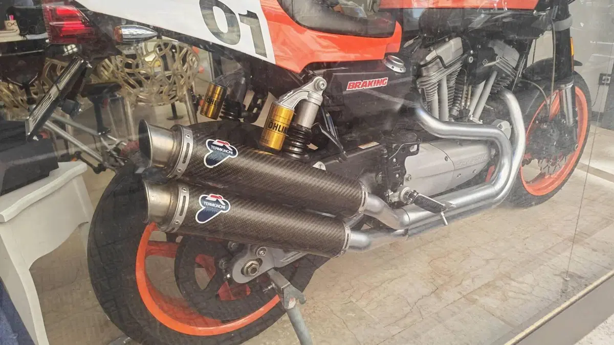 Harley-Davidson 1200 XR (2009 - 12)  (2)