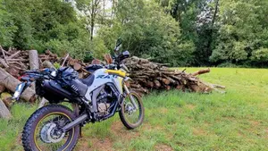 Voge Valico 300 Rally (2022 - 26)  (5)
