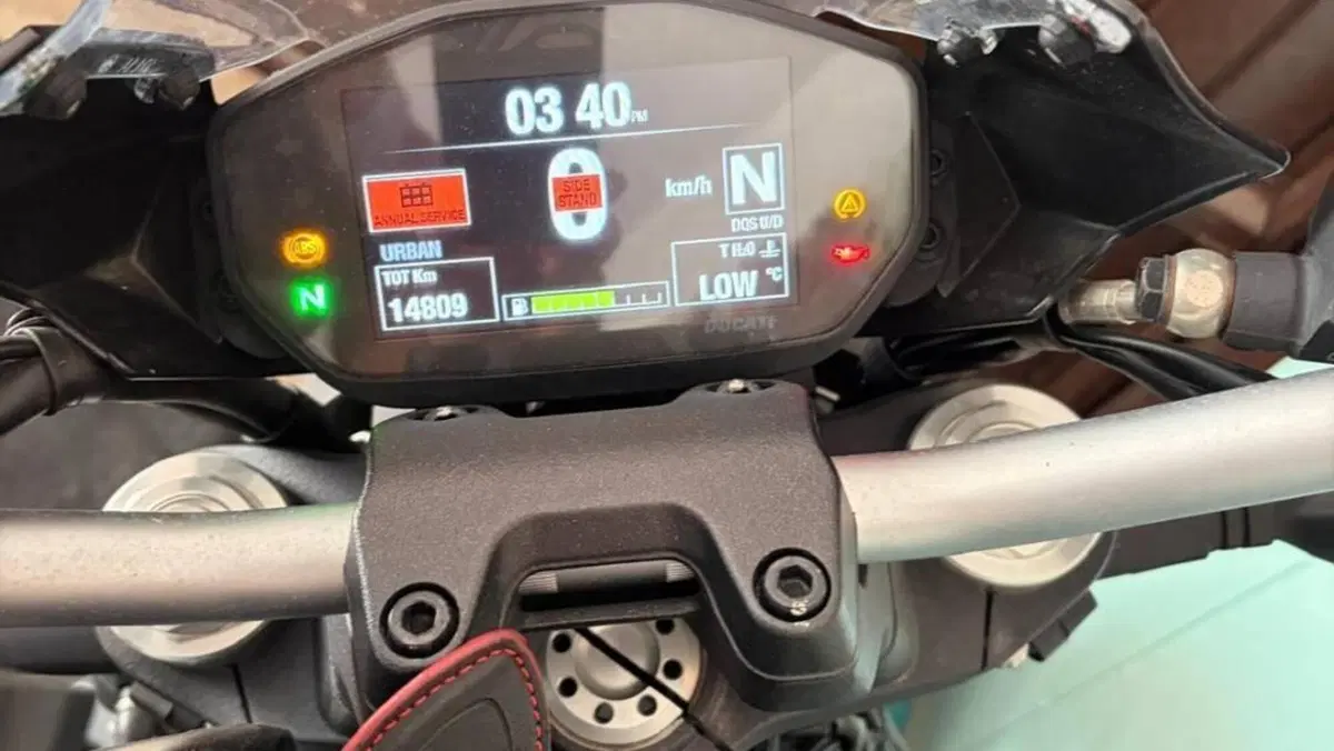 Ducati Monster 821 Stealth (2019 - 20)  (6)