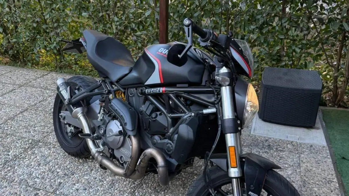 Ducati Monster 821 Stealth (2019 - 20)  (4)