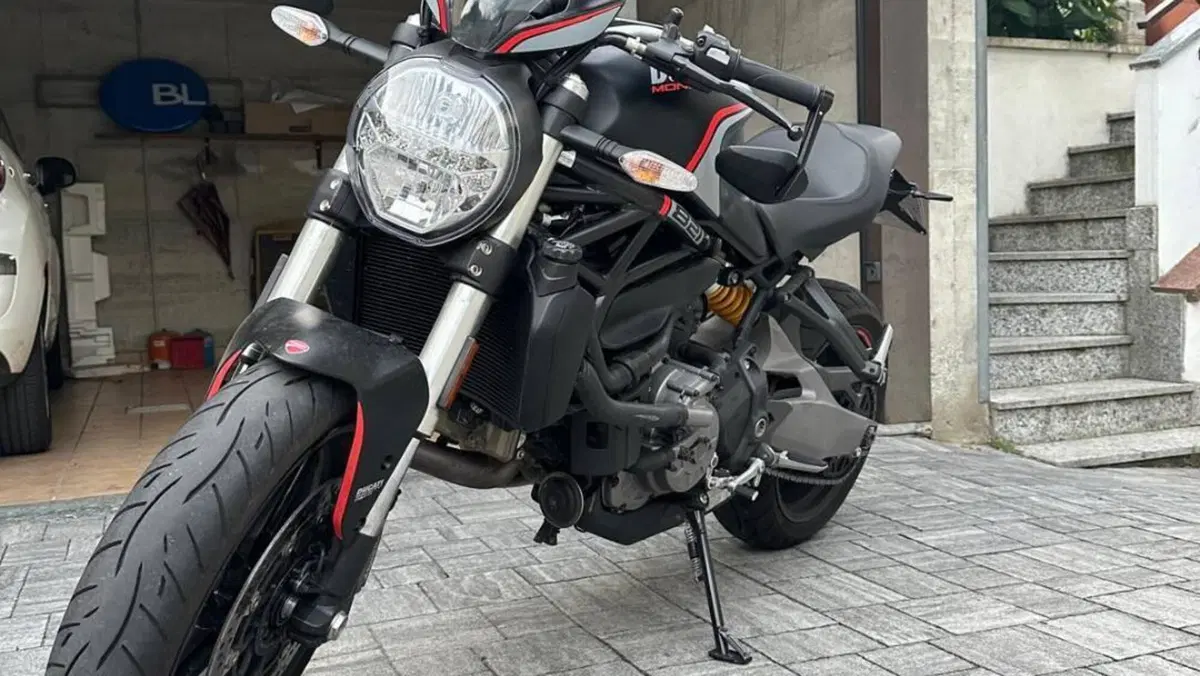 Ducati Monster 821 Stealth (2019 - 20)  (2)