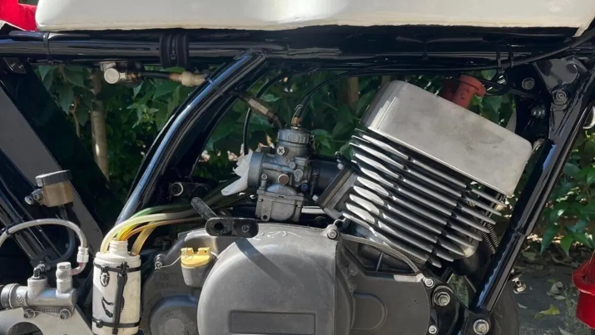 Yamaha   (10)