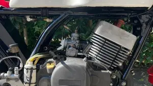 Yamaha   (10)
