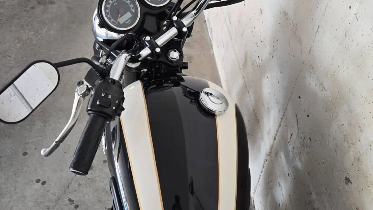 Triumph Bonneville T100 (2008 - 16)  (4)