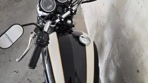 Triumph Bonneville T100 (2008 - 16)  (4)