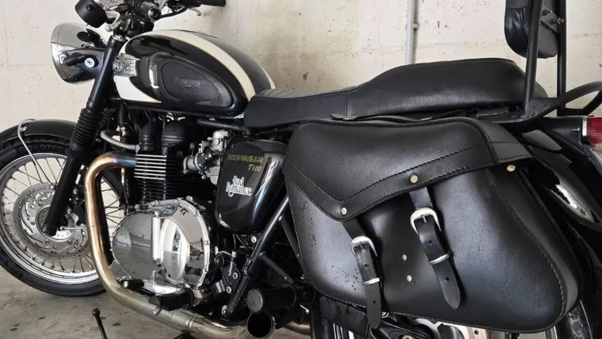 Triumph Bonneville T100 (2008 - 16)  (6)