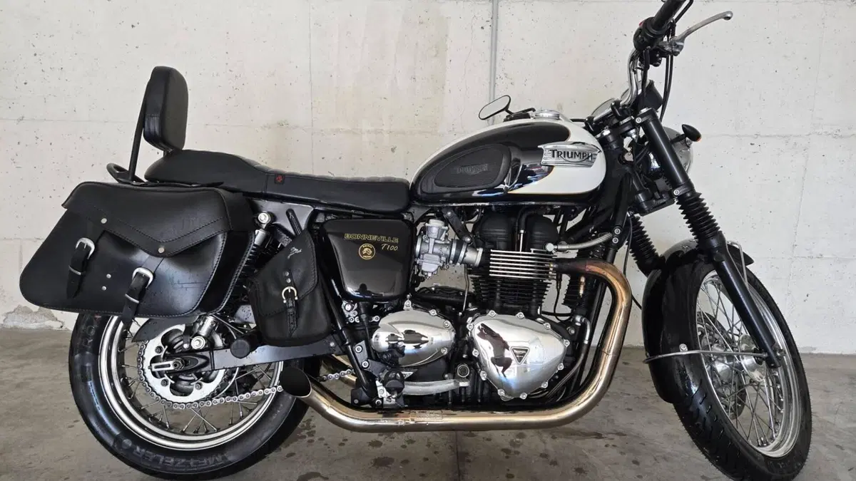 Triumph Bonneville T100 (2008 - 16)  (7)