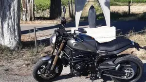Benelli Leoncino 800 (2022 - 26) 