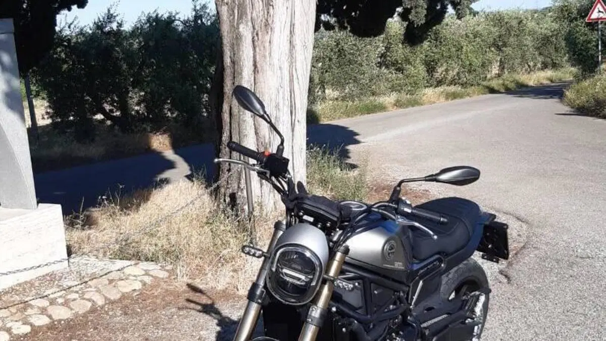 Benelli Leoncino 800 (2022 - 26)  (2)