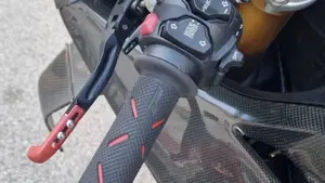 Ducati Panigale V4 S 1100 (2018 - 19)  (10)