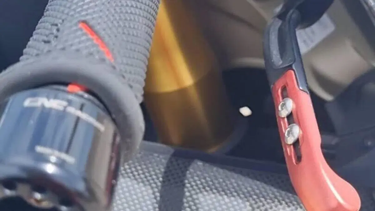 Ducati Panigale V4 S 1100 (2018 - 19)  (12)