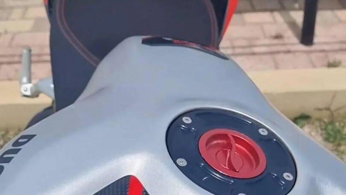 Ducati Panigale V4 S 1100 (2018 - 19)  (14)